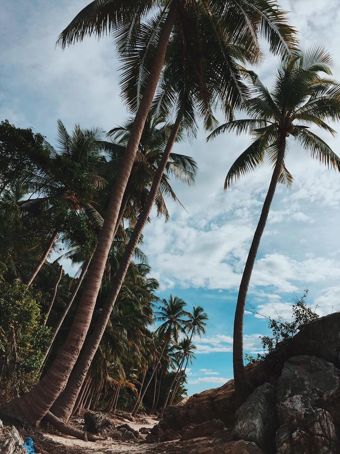ホテル Le Motu Taling Ngam Beach エクステリア 写真